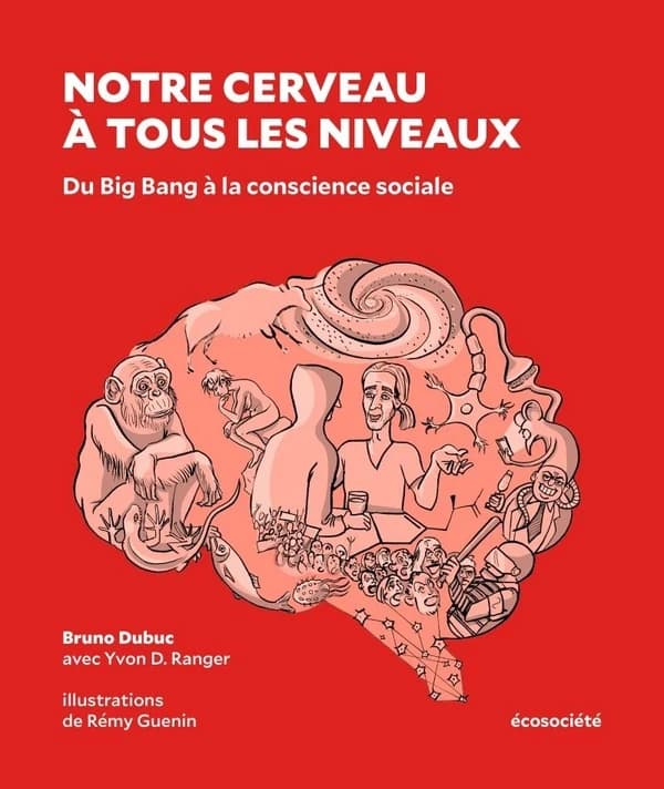 Notre cerveau à tous les niveaux : du Big Bang à la conscience sociale