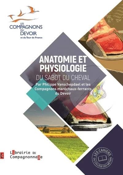 Anatomie et physiologie du sabot du cheval