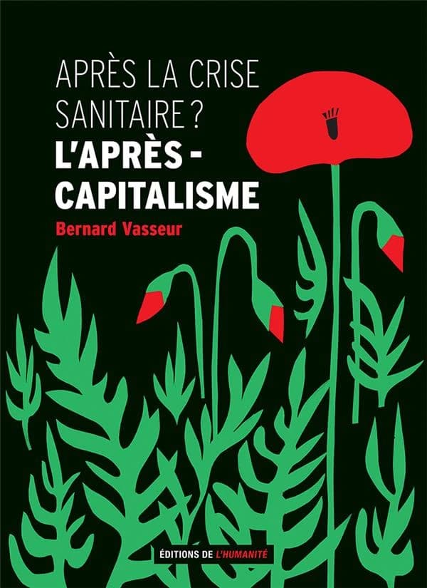 Après la crise sanitaire ? : l'après-capitalisme
