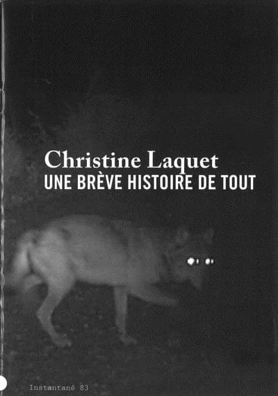 Christine Laquet : une brève histoire de tout : [exposition Frac des Pays de la Loire, Carquefou, 17.11, 2012-06.01, 2013]