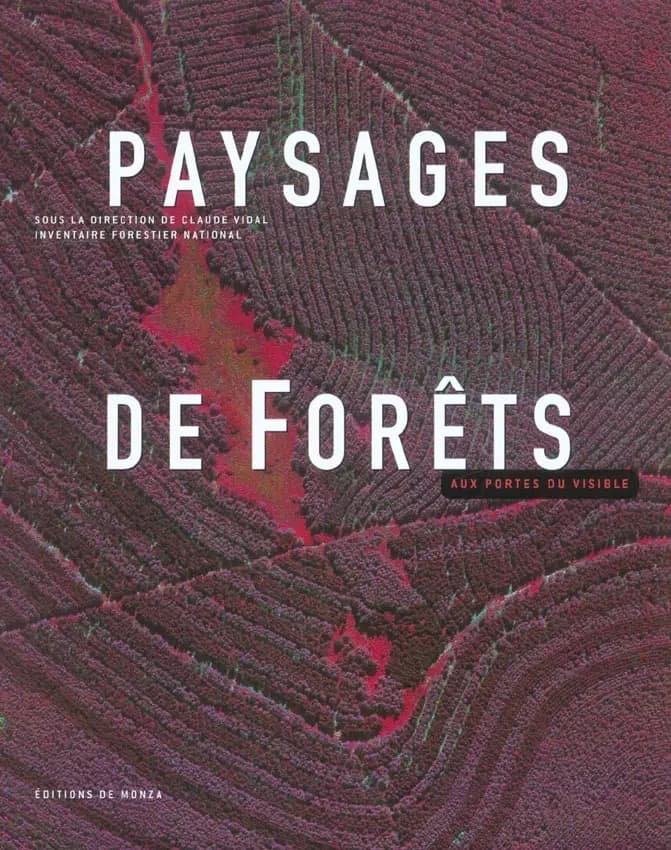 Paysages de forêts : aux portes du visible