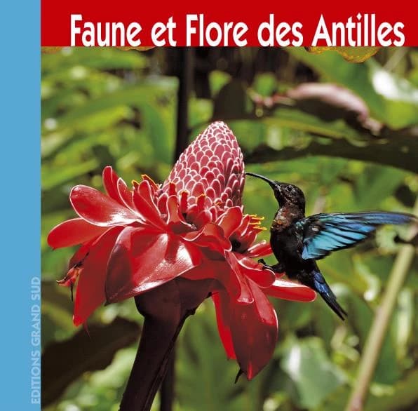 Faune et flore des Antilles