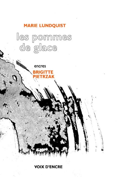 Les pommes de glace : poèmes en prose
