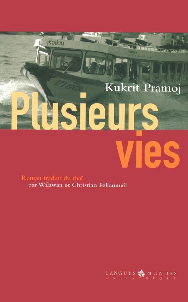 Plusieurs vies : roman