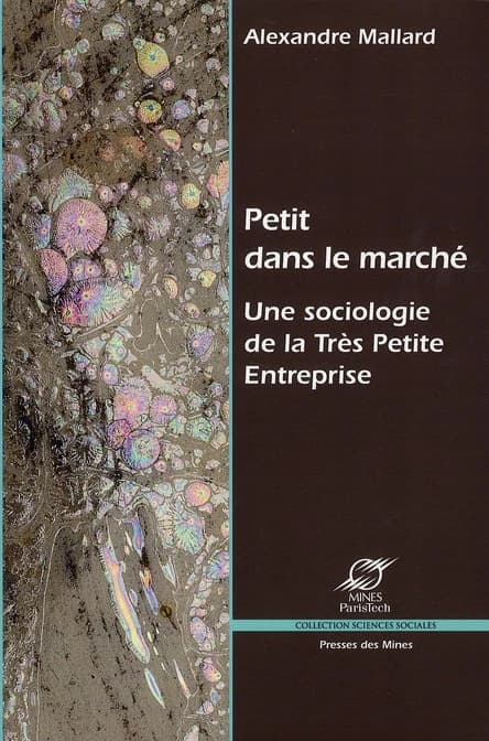 Petit dans le marché : une sociologie de la très petite entreprise