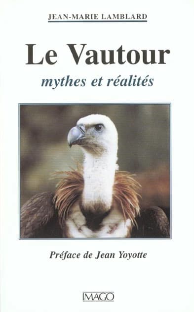 Le vautour : mythes et réalités