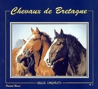 Chevaux de Bretagne