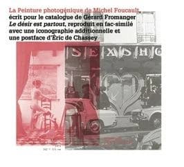 La peinture photogénique de Michel Foucault : écrit pour le catalogue de Michel Fromanger "Le désir est partout" reproduit en fac-similé avec une iconographie additionnelle et une postface d'Éric de Chassey