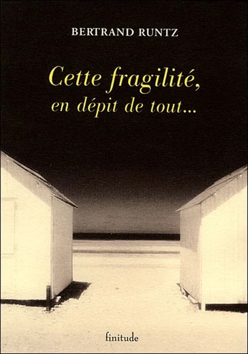 Cette fragilité, en dépit de tout : nouvelles