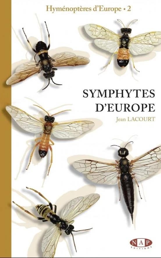 Symphytes d'Europe