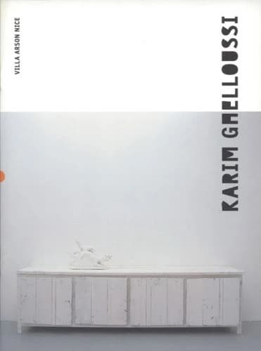 Karim Ghelloussi : [exposition, Nice, Villa Arson], 19.04 2003-15.06 2003