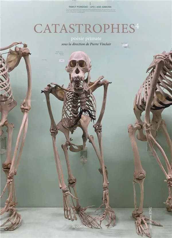 Catastrophes 4 : poésie primate