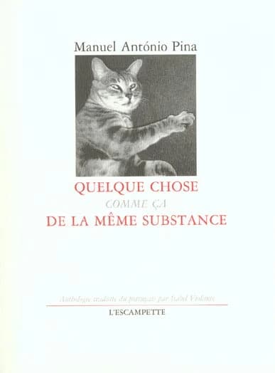 Quelque chose comme ça de la même substance : anthologie