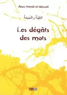 Degats des mots (les) petit format