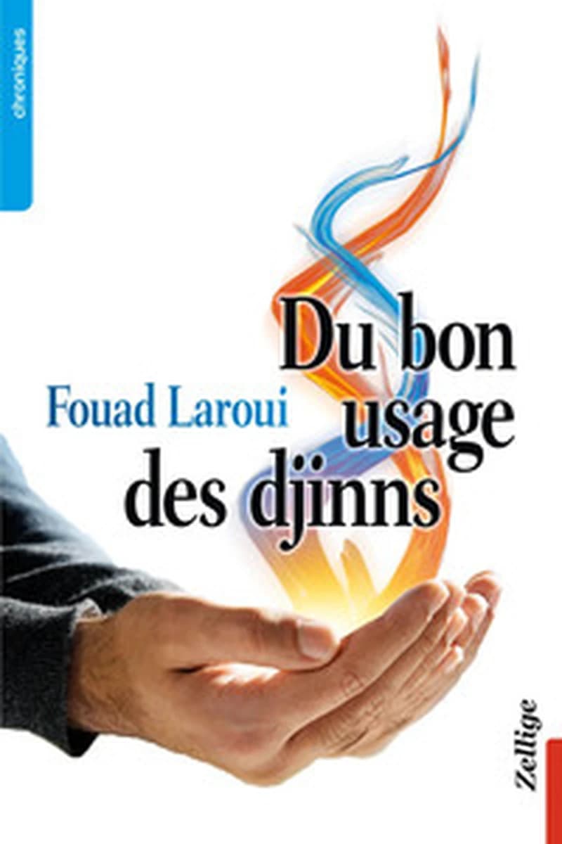 Du bon usage des djinns : chroniques