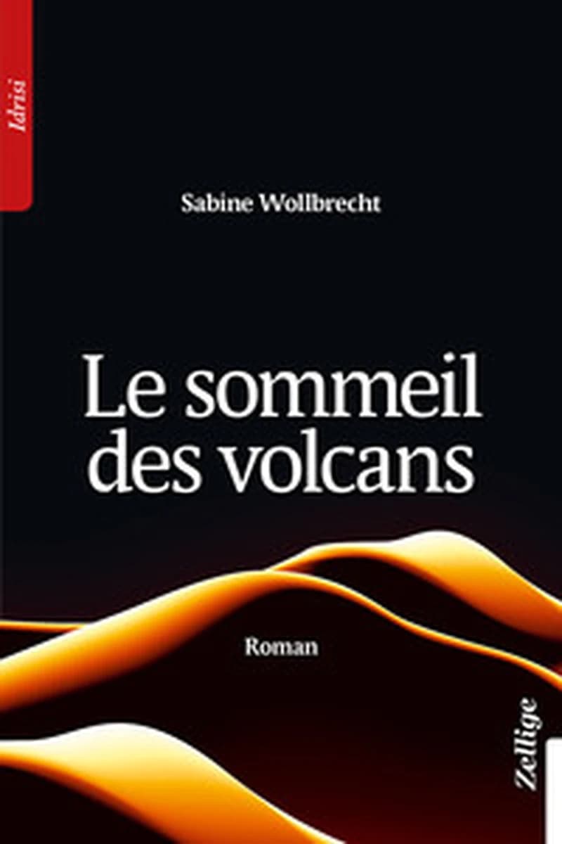 Le sommeil des volcans : roman