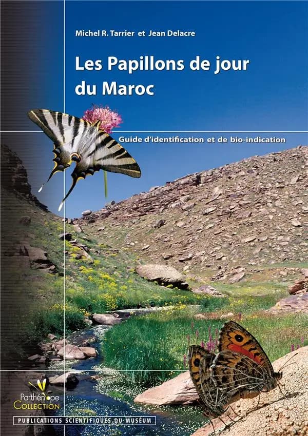 Les papillons de jour du Maroc : guide d'identification et de bio-indication