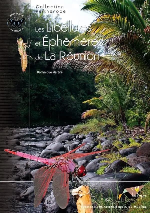 Les libellules et éphémères de la Réunion