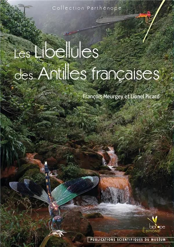 Les libellules des Antilles françaises : écologie, biologie, biogéographie et identification