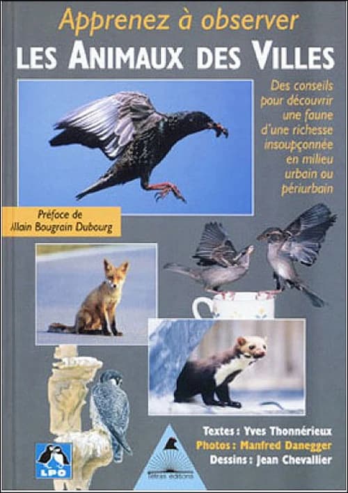 Apprenez à observer les animaux des villes
