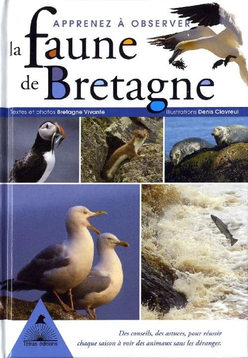 Apprenez à observer la faune de Bretagne : des conseils, des astuces, pour réussir chaque saison à voir des animaux sans les déranger