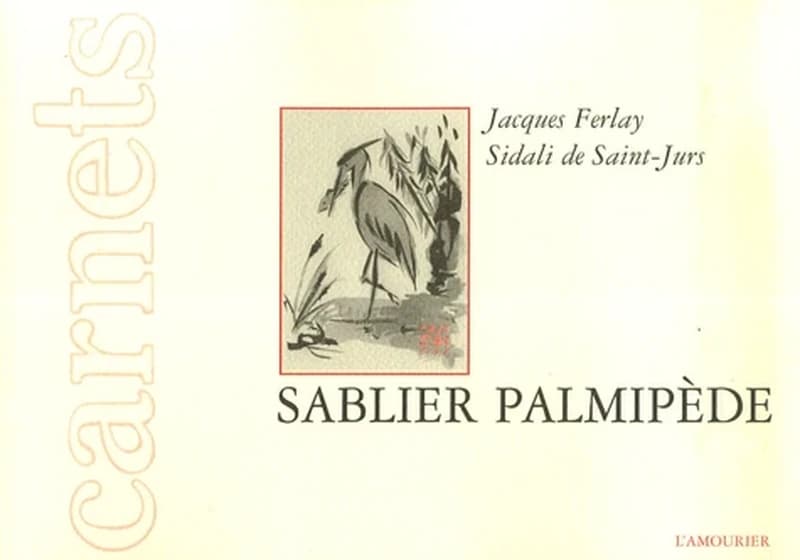 Sablier palmipède