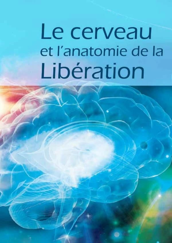 Le cerveau et l'anatomie de la libération