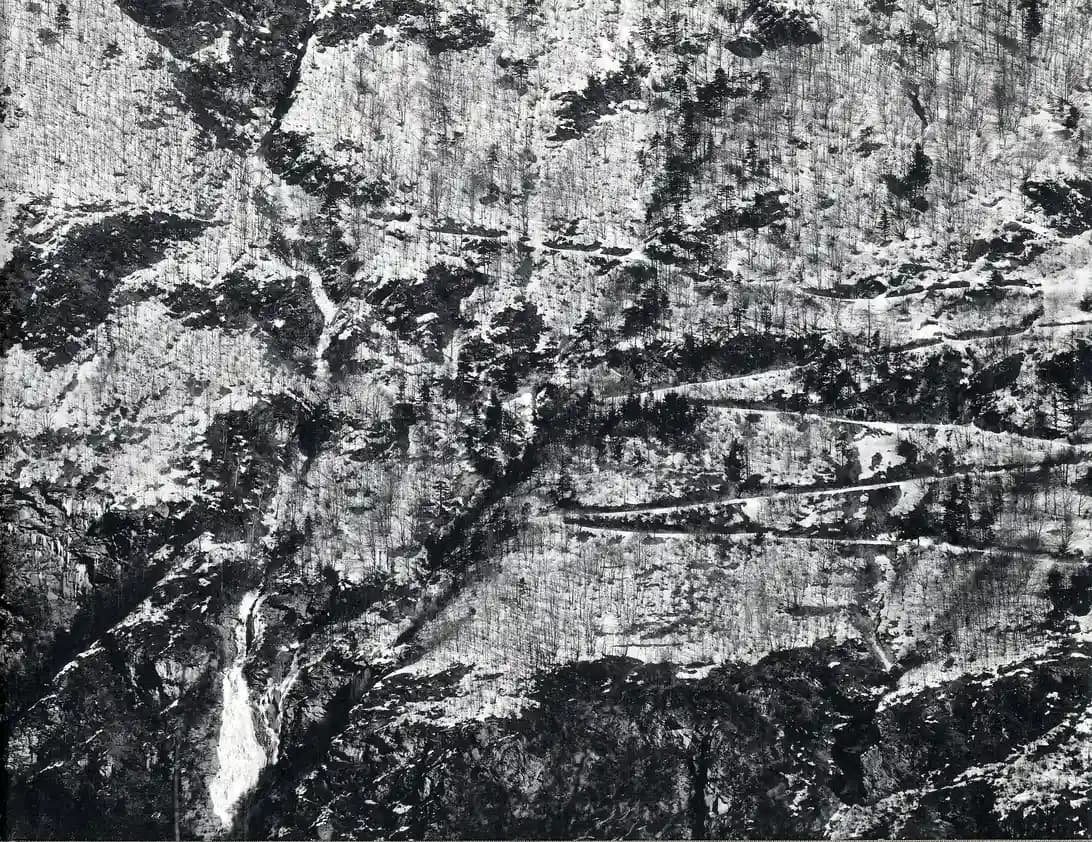 D'après nature