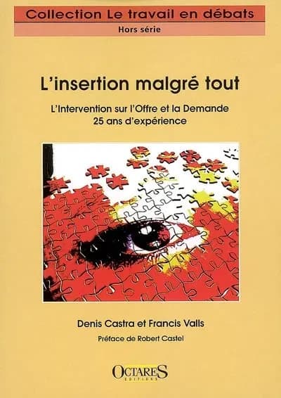 L'insertion malgré tout : l'intervention sur l'offre et la demande, 25 ans d'expérience
