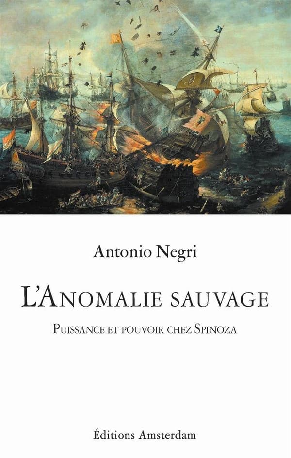 L'anomalie sauvage : Puissance et pouvoir chez Spinoza