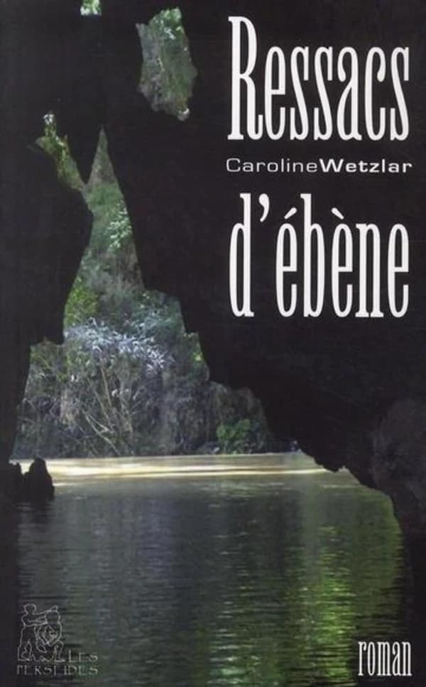 Ressacs d'ébène : roman