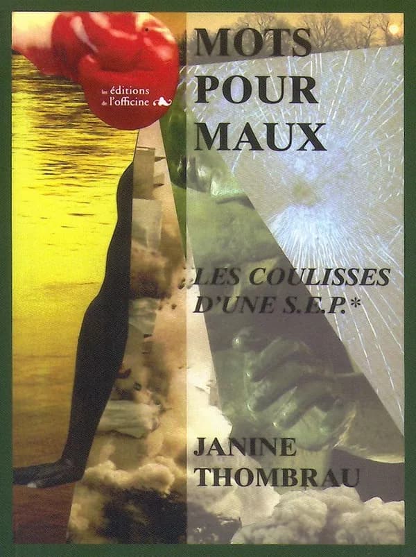 Mots pour maux : séquences en éclats : les coulisses d'une SEP