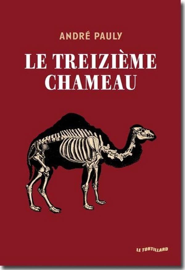 Le treizième chameau : Le treizième chameau