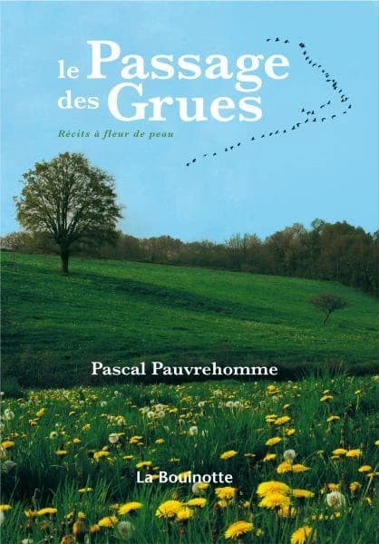 Le passage des grues : récits à fleur de peau