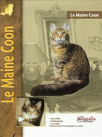 Le Maine coon