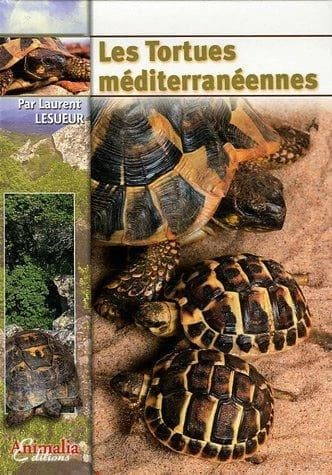 Les tortues méditerranéennes
