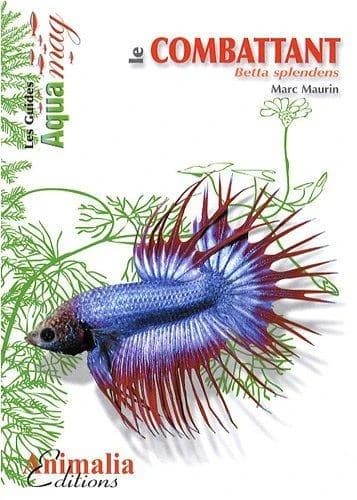 Le combattant : Betta splendens