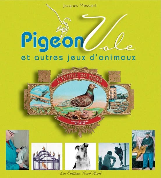 Pigeon vole