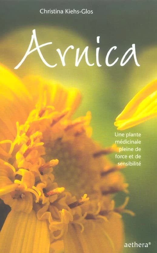 Arnica : une plante médicinale pleine de force et de sensibilité