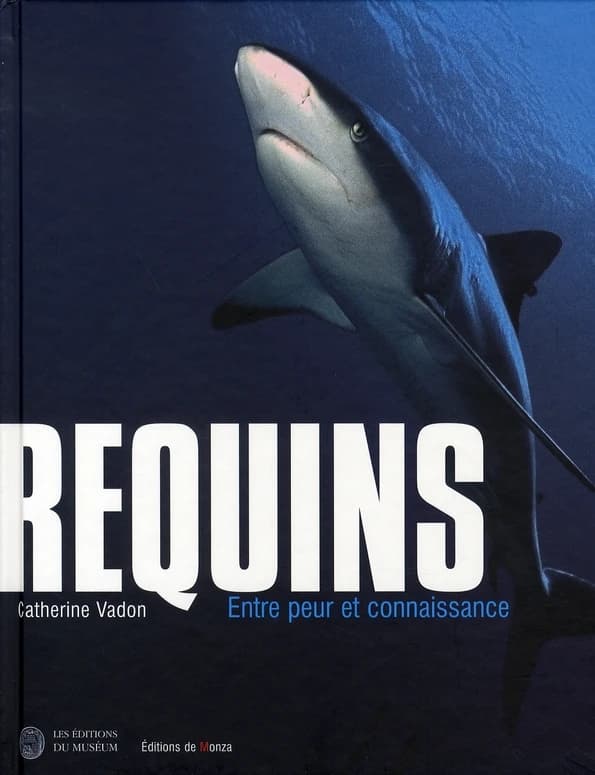 Requins : entre peur et connaissance
