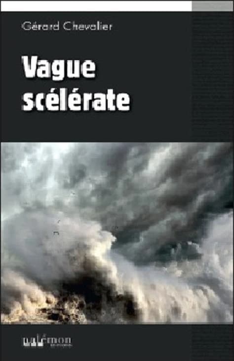 Vague scélérate