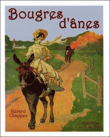 Bougres d'ânes ([Nouvelle éd.]) Gérard Chappez