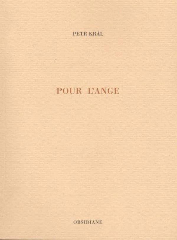Pour l'ange