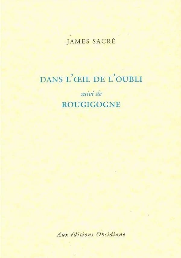 Dans l'oeil de l'oubli ; suivi de Rougigogne