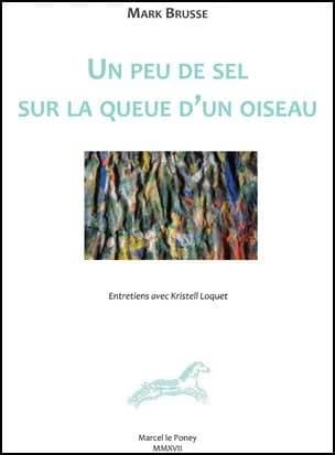 Un peu de sel sur la queue d'un oiseau : entretiens avec Kristell Loquet...