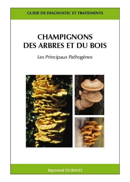 Champignons des arbres et du bois : les principaux pathogènes : guide de diagnostic et traitements