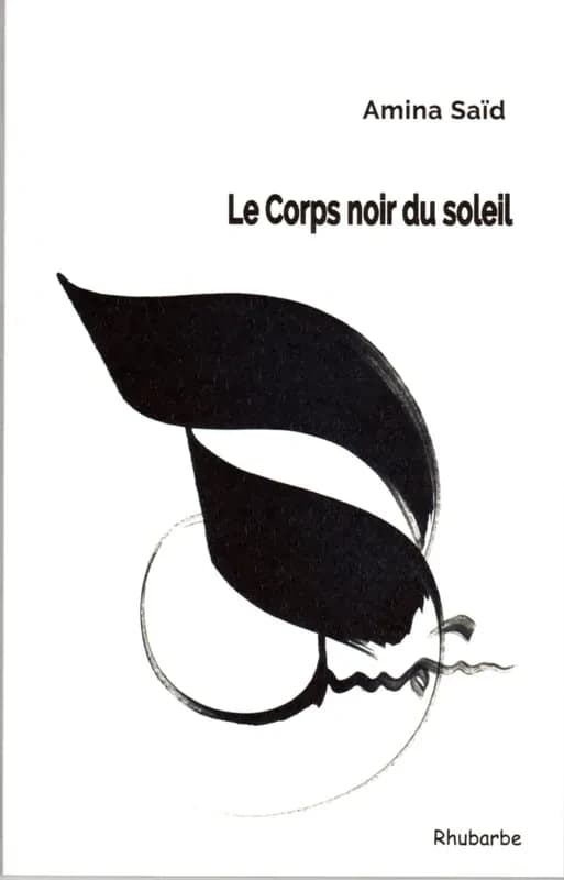 Le corps noir du soleil