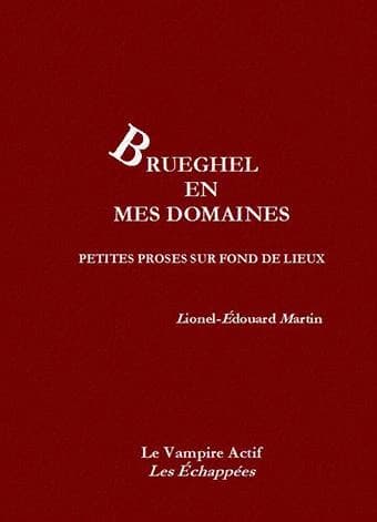 Brueghel en mes domaines : petites proses sur fond de lieux