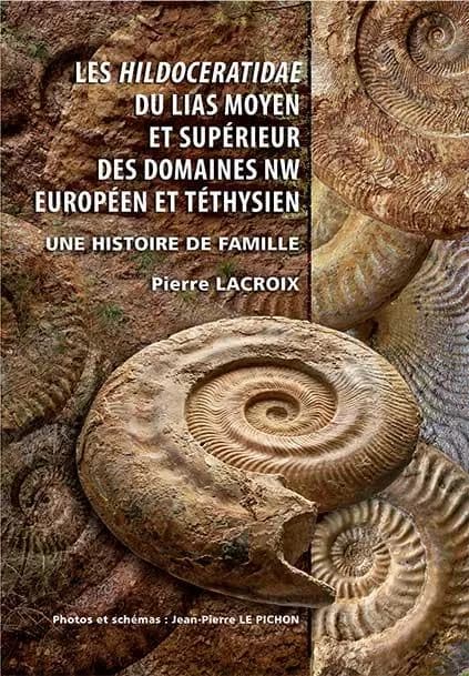 Les Hildoceratidae du Lias moyen et supérieur des domaines NW européen et téthysien : une histoire de famille