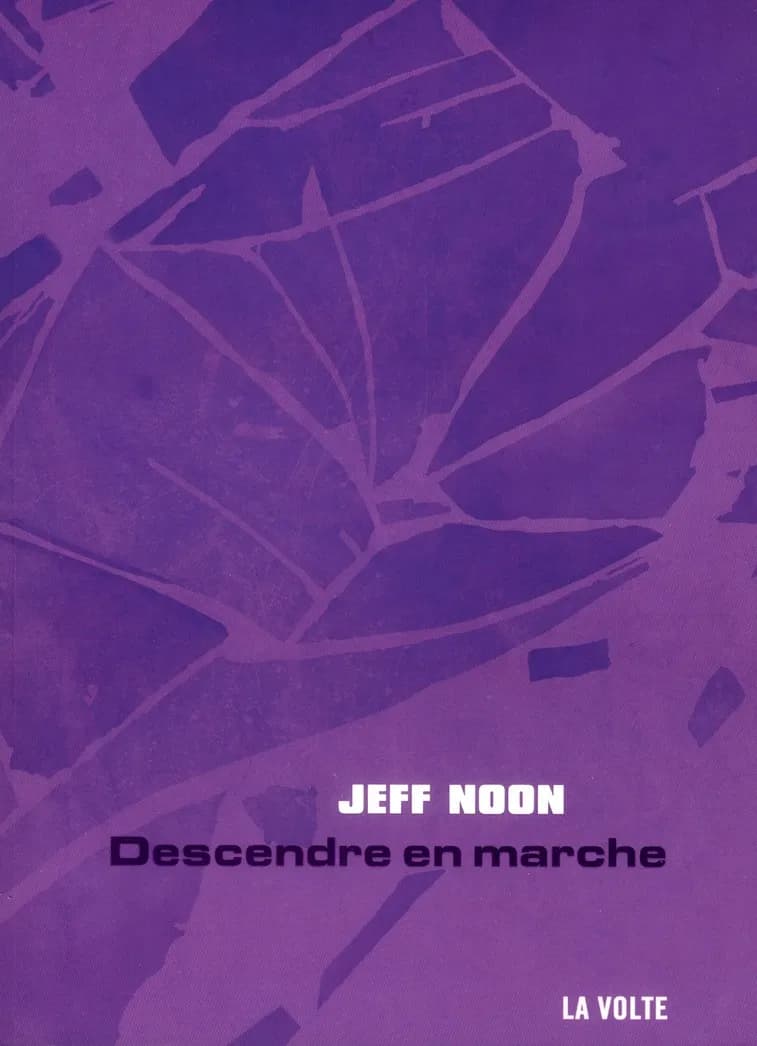 Descendre en marche : roman